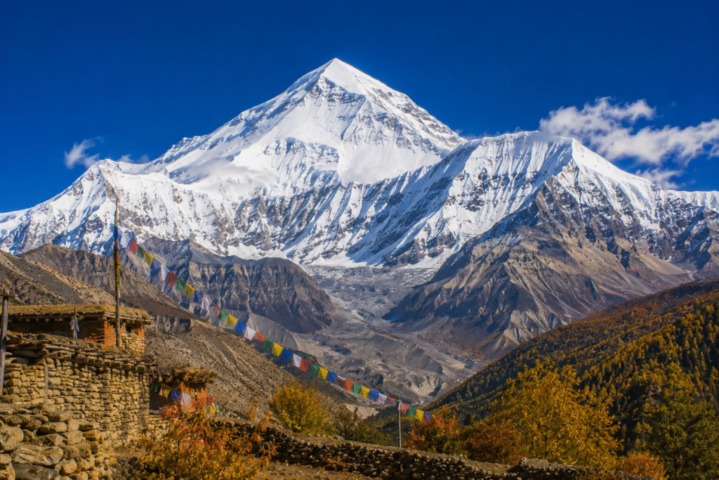 Dhaulagiri I, the seventh-highest mountain in the world, towering above a Himalayan village and colorful autumn forests under a clear blue sky