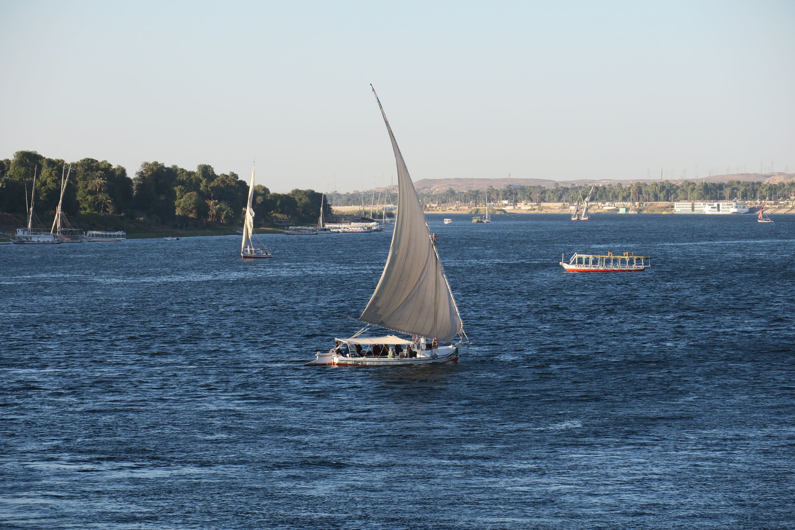 Sailboats navigating the scenic Nile River under clear skies, perfect for a summer day.