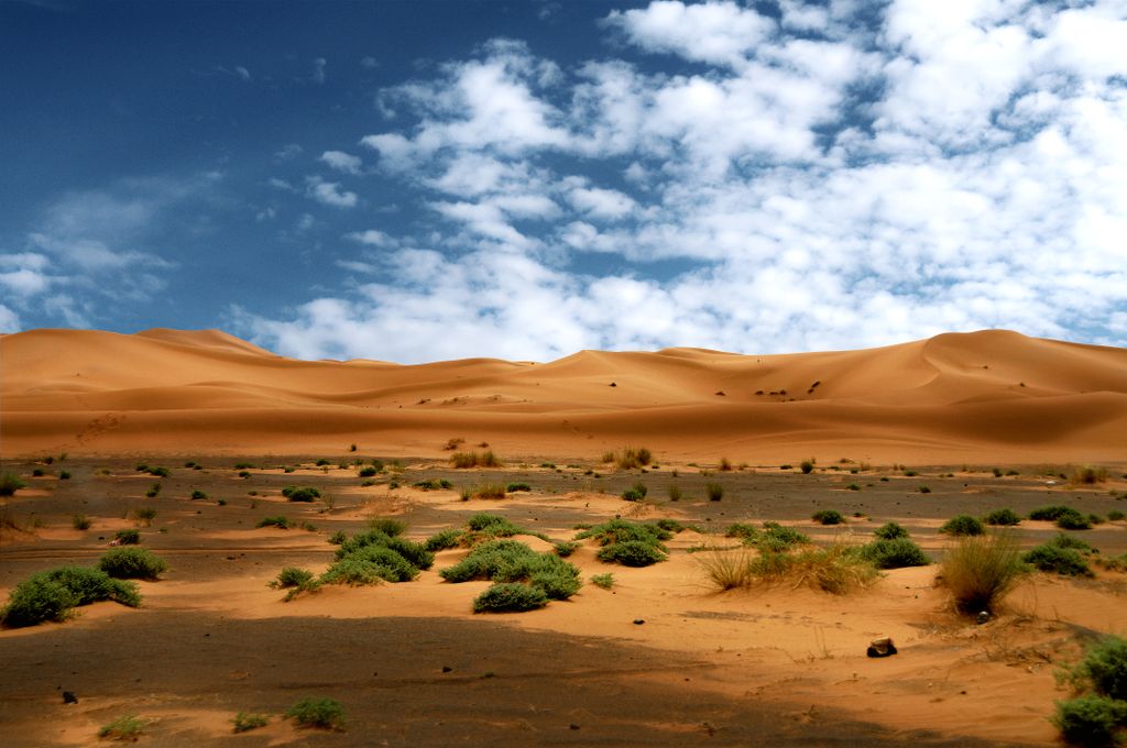 Largest Deserts of the World Sahara Desert